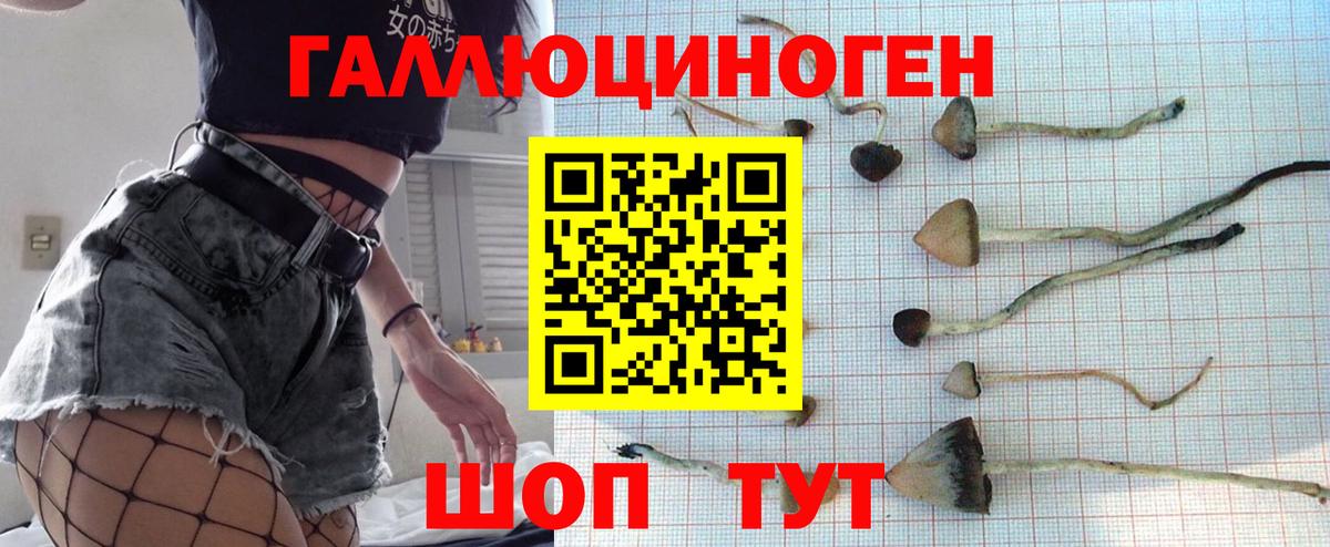 Галлюциногенные грибы ЛСД Нерюнгри