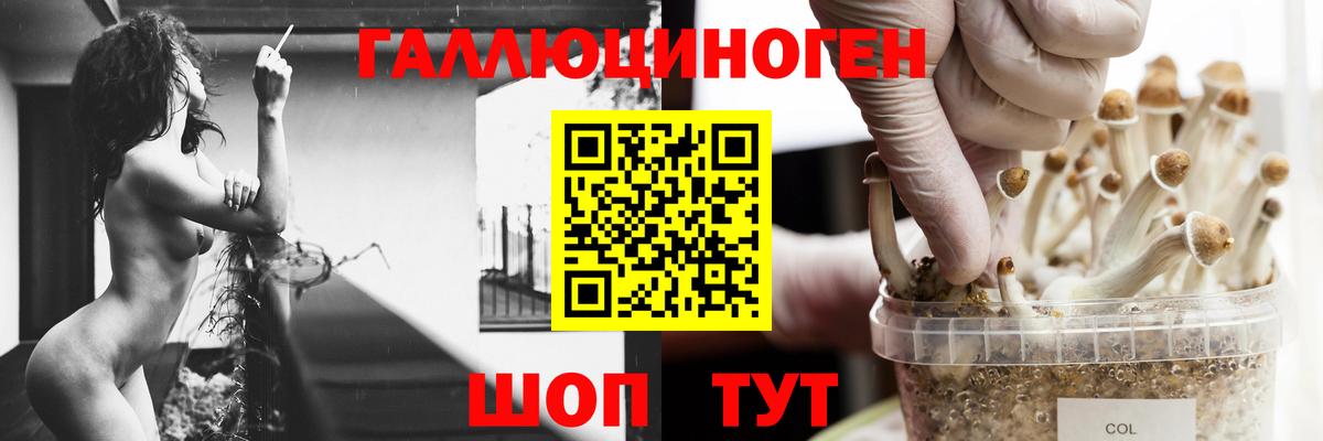 Нерюнгри  Галлюциногенные грибы мухоморы  Вход с VPN 