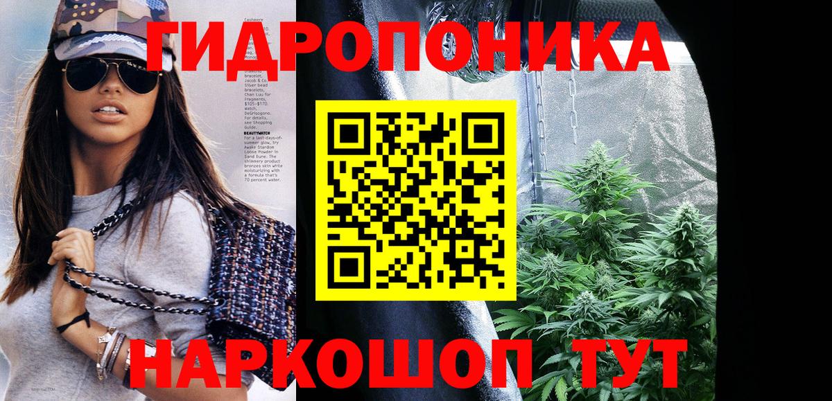 Конопля Bruce Banner Нерюнгри